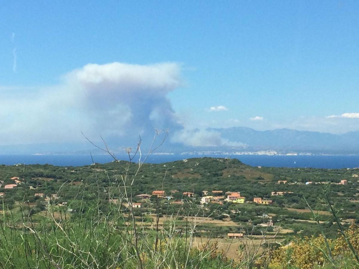 B&B Bell'Alba Santa Teresa Gallura Zewnętrze zdjęcie