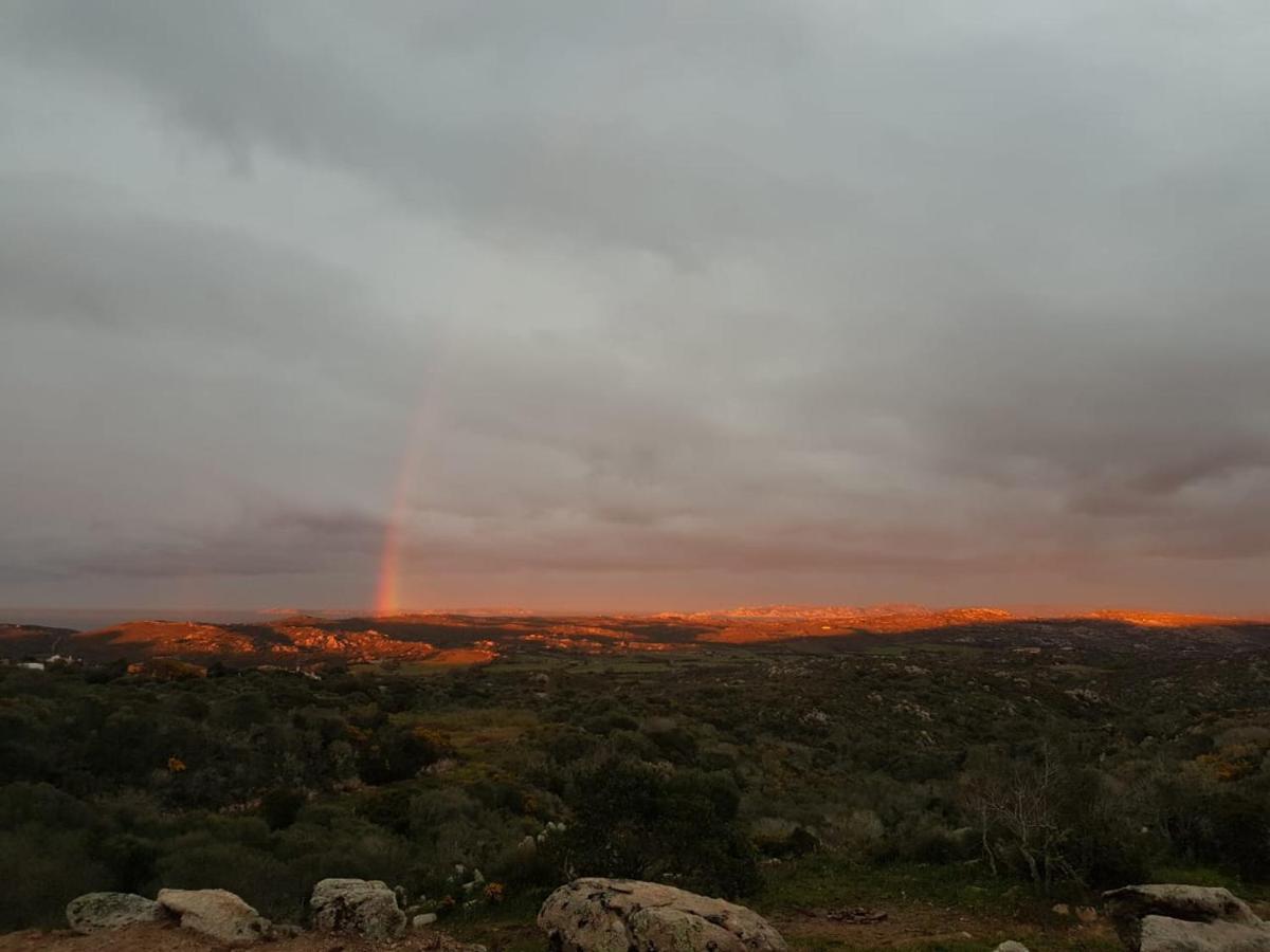B&B Bell'Alba Santa Teresa Gallura Zewnętrze zdjęcie